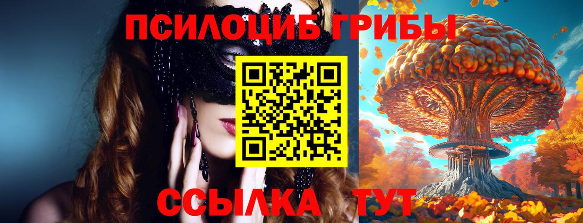Псилоцибиновые грибы ЛСД  Вход с VPN  Тулун  Псилоцибиновые грибы Cubensis 